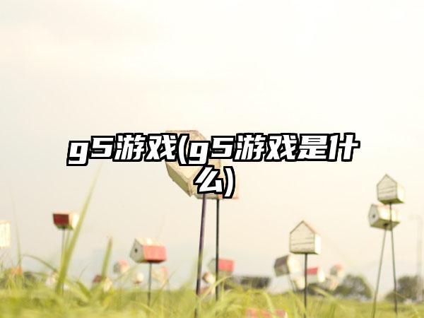 g5游戏(g5游戏是什么)