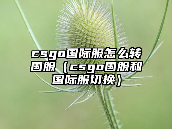 csgo国际服怎么转国服（csgo国服和国际服切换）