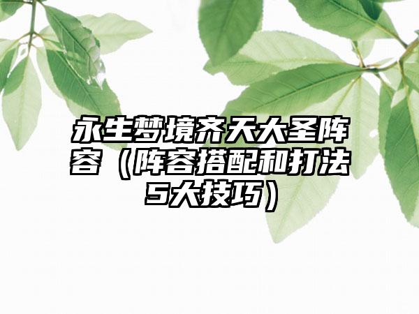 永生梦境齐天大圣阵容（阵容搭配和打法5大技巧）