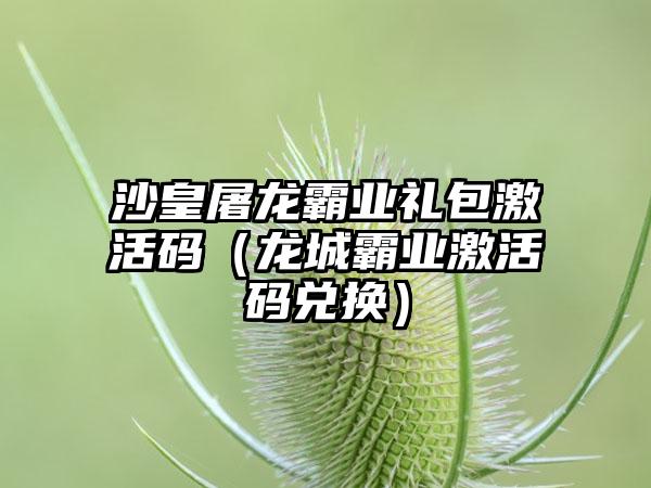 沙皇屠龙霸业礼包激活码（龙城霸业激活码兑换）