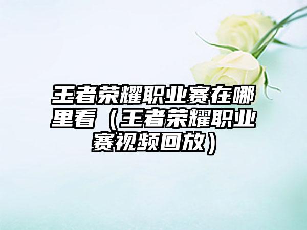 王者荣耀职业赛在哪里看（王者荣耀职业赛视频回放）
