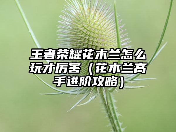 王者荣耀花木兰怎么玩才厉害（花木兰高手进阶攻略）