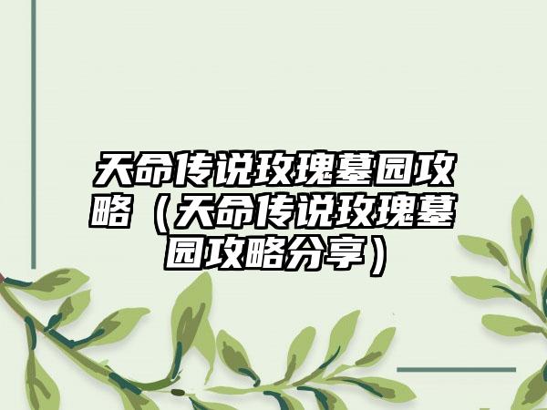 天命传说玫瑰墓园攻略（天命传说玫瑰墓园攻略分享）