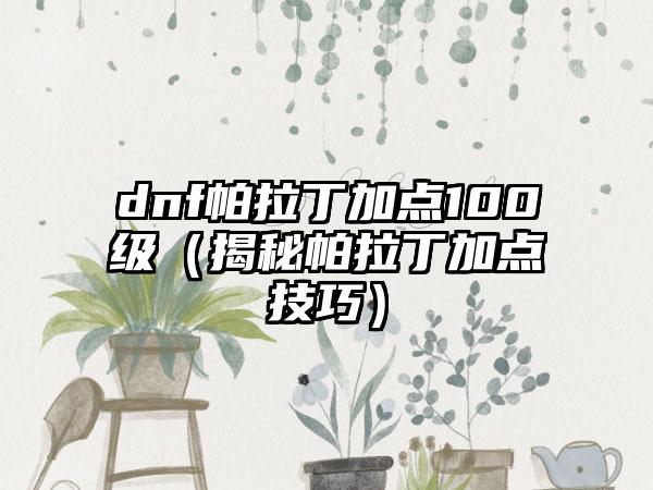 dnf帕拉丁加点100级（揭秘帕拉丁加点技巧）