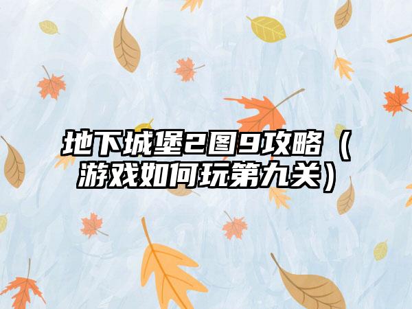 地下城堡2图9攻略（游戏如何玩第九关）
