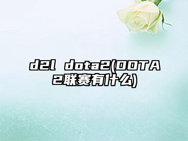 d2l dota2(DOTA2联赛有什么)