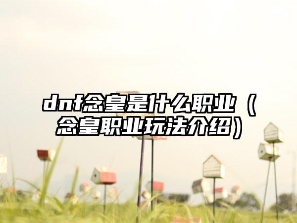dnf念皇是什么职业（念皇职业玩法介绍）
