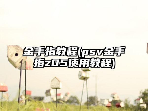 金手指教程(psv金手指z05使用教程)
