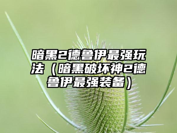暗黑2德鲁伊最强玩法（暗黑破坏神2德鲁伊最强装备）