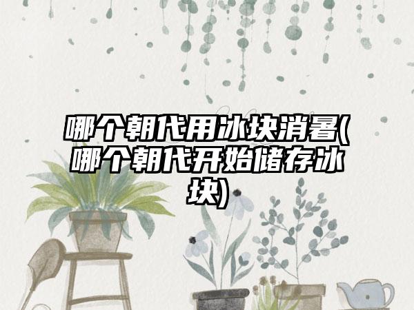 哪个朝代用冰块消暑(哪个朝代开始储存冰块)