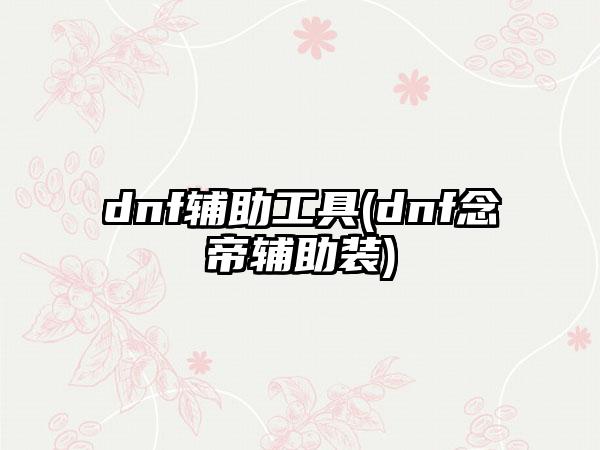 dnf辅助工具(dnf念帝辅助装)