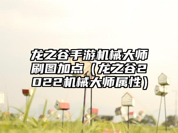 龙之谷手游机械大师刷图加点（龙之谷2022机械大师属性）