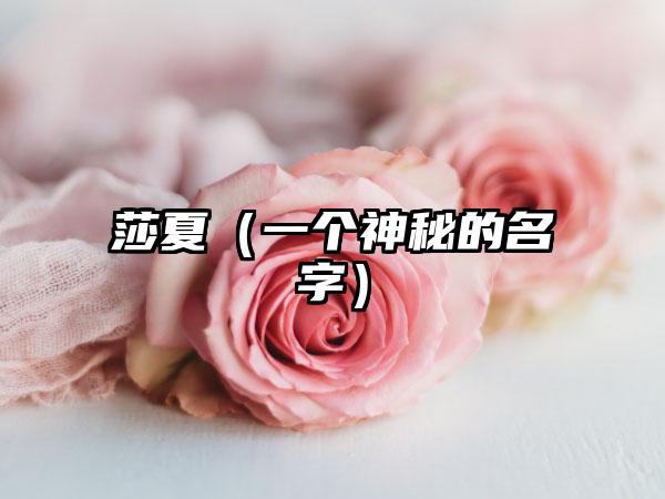 莎夏（一个神秘的名字）