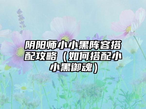 阴阳师小小黑阵容搭配攻略（如何搭配小小黑御魂）