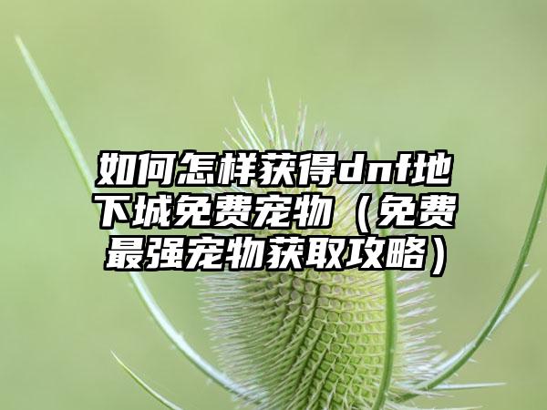 如何怎样获得dnf地下城免费宠物（免费最强宠物获取攻略）