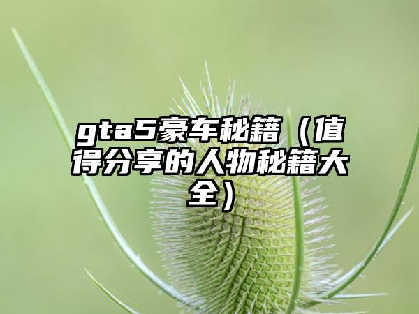 gta5豪车秘籍（值得分享的人物秘籍大全）