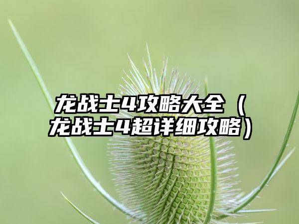 龙战士4攻略大全（龙战士4超详细攻略）