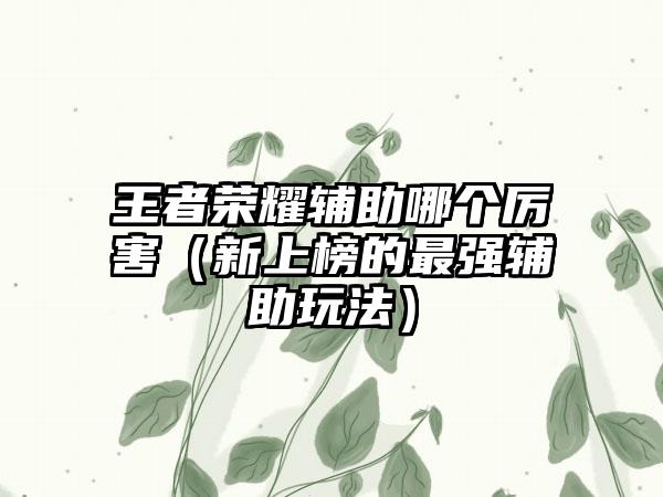 王者荣耀辅助哪个厉害（新上榜的最强辅助玩法）