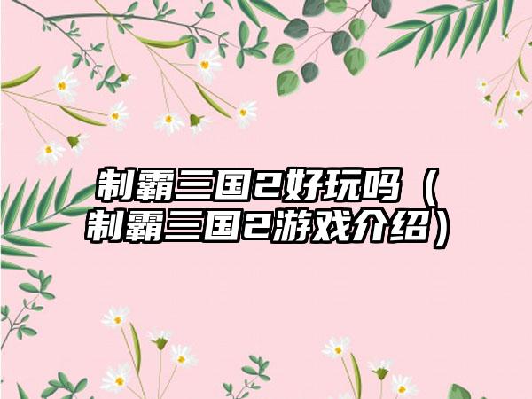 制霸三国2好玩吗（制霸三国2游戏介绍）