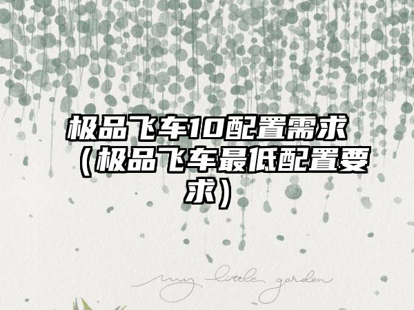 极品飞车10配置需求（极品飞车最低配置要求）