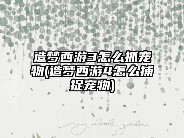 造梦西游3怎么抓宠物(造梦西游4怎么捕捉宠物)