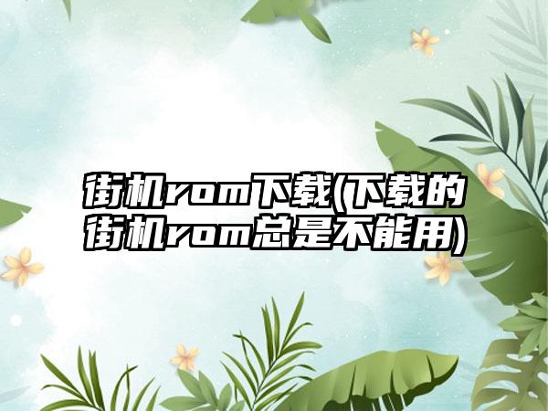 街机rom(的街机rom总是不能用)