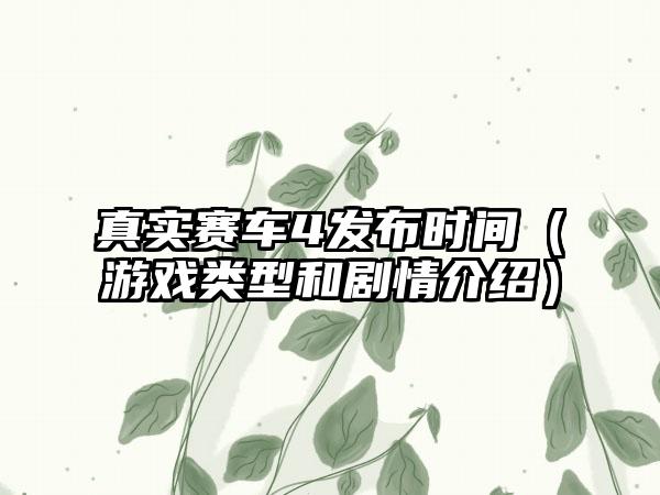 真实赛车4发布时间（游戏类型和剧情介绍）