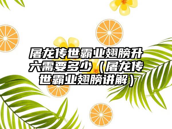 屠龙传世霸业翅膀升六需要多少（屠龙传世霸业翅膀讲解）