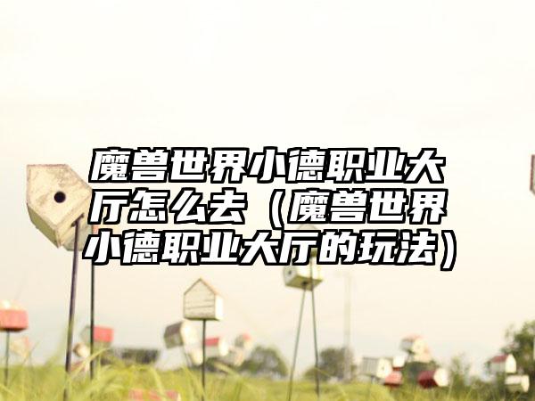 魔兽世界小德职业大厅怎么去（魔兽世界小德职业大厅的玩法）