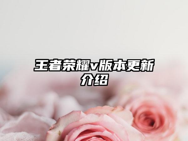 王者荣耀v版本更新介绍