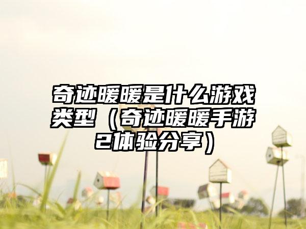 奇迹暖暖是什么游戏类型（奇迹暖暖手游2体验分享）