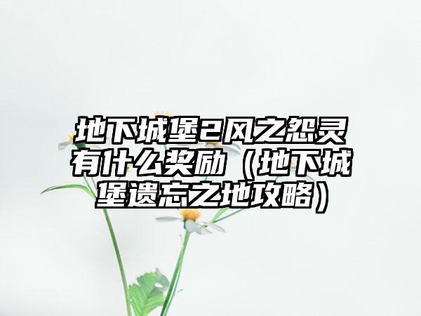 地下城堡2风之怨灵有什么奖励（地下城堡遗忘之地攻略）