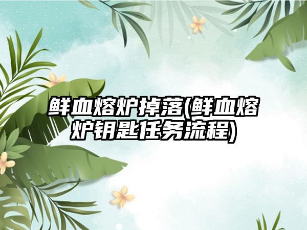 鲜血熔炉掉落(鲜血熔炉钥匙任务流程)