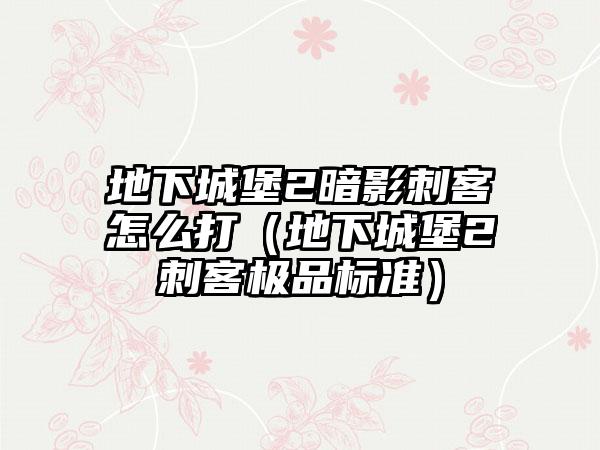 地下城堡2暗影刺客怎么打（地下城堡2刺客极品标准）
