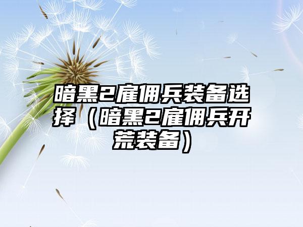 暗黑2雇佣兵装备选择（暗黑2雇佣兵开荒装备）