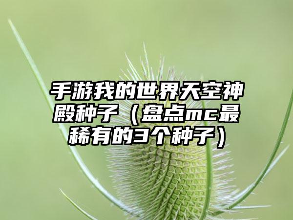 手游我的世界天空神殿种子（盘点mc最稀有的3个种子）