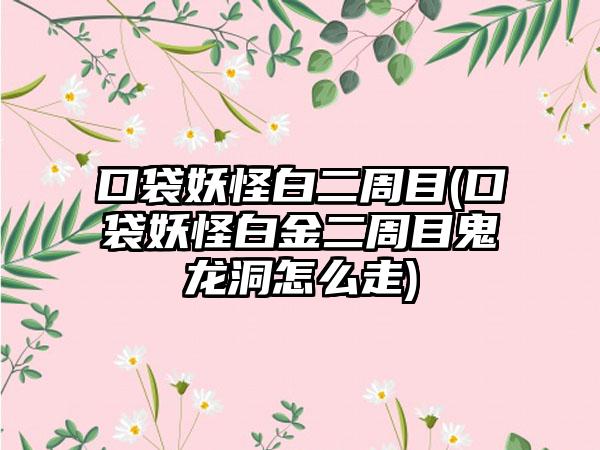 口袋妖怪白二周目(口袋妖怪白金二周目鬼龙洞怎么走)