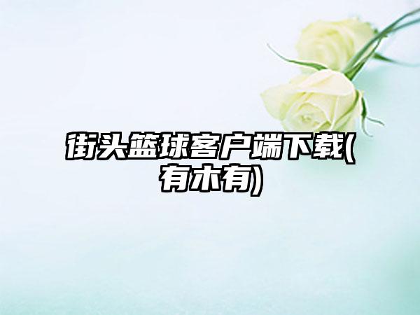 街头篮球客户端(有木有)