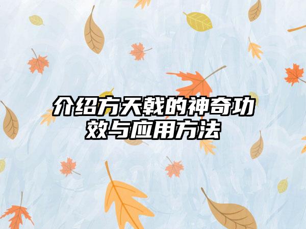 介绍方天戟的神奇功效与应用方法