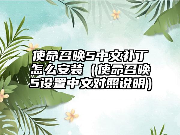 使命召唤5中文补丁怎么安装（使命召唤5设置中文对照说明）