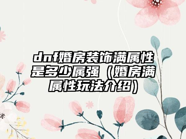 dnf婚房装饰满属性是多少属强（婚房满属性玩法介绍）