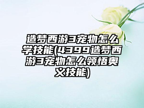 造梦西游3宠物怎么学技能(4399造梦西游3宠物怎么领悟奥义技能)