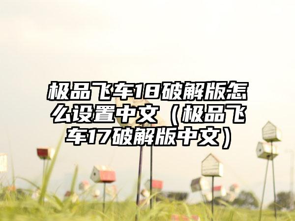 极品飞车18破解版怎么设置中文（极品飞车17破解版中文）