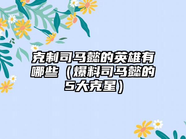 克制司马懿的英雄有哪些（爆料司马懿的5大克星）