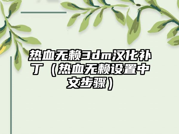 热血无赖3dm汉化补丁（热血无赖设置中文步骤）