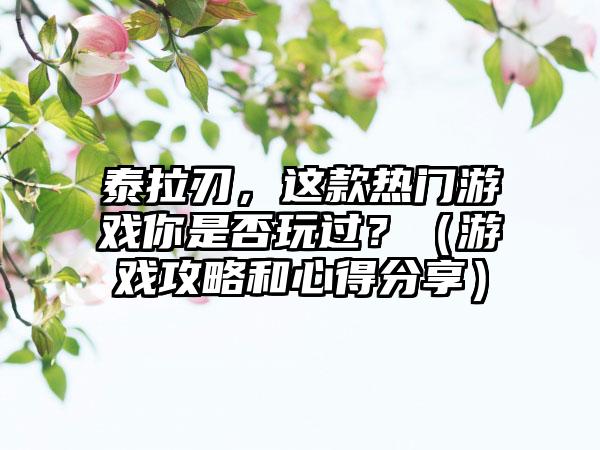 泰拉刃，这款热门游戏你是否玩过？（游戏攻略和心得分享）