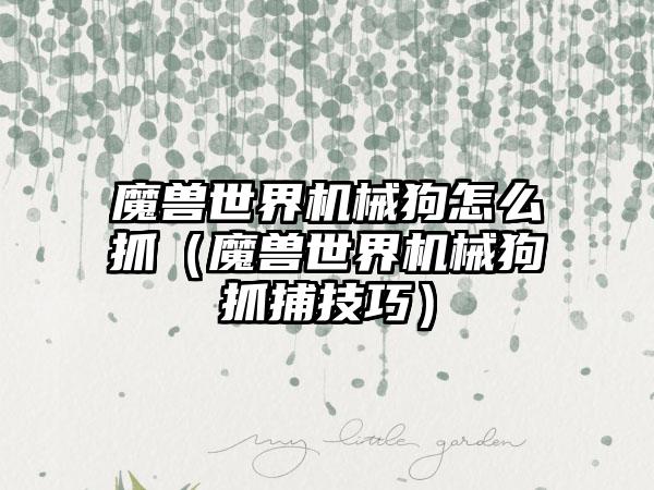 魔兽世界机械狗怎么抓（魔兽世界机械狗抓捕技巧）