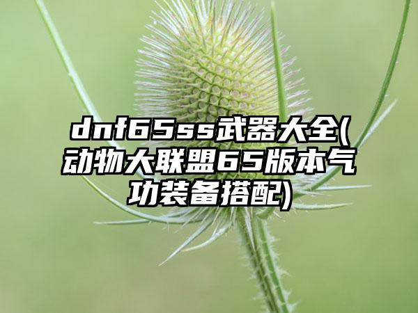 dnf65ss武器大全(动物大联盟65版本气功装备搭配)