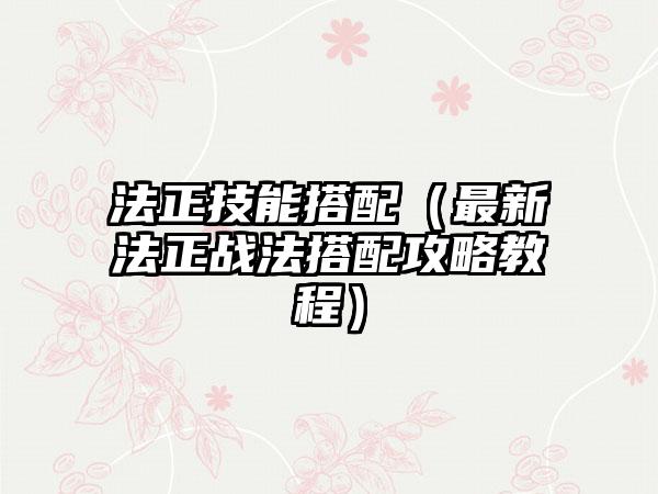 法正技能搭配（最新法正战法搭配攻略教程）