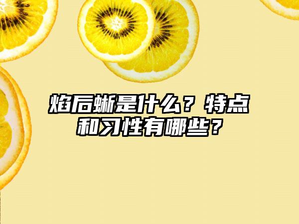 焰后蜥是什么？特点和习性有哪些？